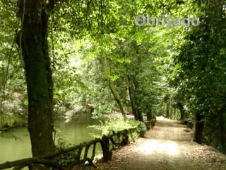 Parte 4   antônio fernandes