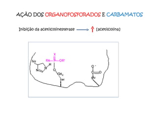 AÇÃO DOS  ORGANOFOSFORADOS  E  CARBAMATOS Inibição da acetilcolinesterase  [acetilcolina]  