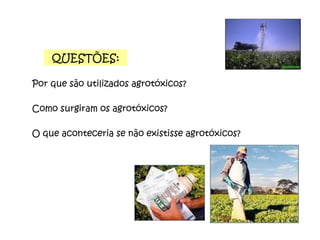 Por que são utilizados agrotóxicos?  Como surgiram os agrotóxicos?  O que aconteceria se não existisse agrotóxicos? QUESTÕES: 