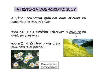 A HISTÓRIA DOS AGROTÓXICOS    Vários compostos químicos eram eficazes no combate a insetos e fungos. 2500 a.C.   Os sumérios utilizavam o  enxofre  no combate a insetos; 400 a.C.    O piretro era usado para controlar piolhos;  Chrysanthemum  cinerariaefolium 