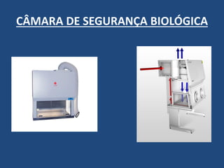 CÂMARA DE SEGURANÇA BIOLÓGICA  