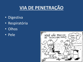 VIA DE PENETRAÇÃO 
•Digestiva 
•Respiratória 
•Olhos 
•Pele  