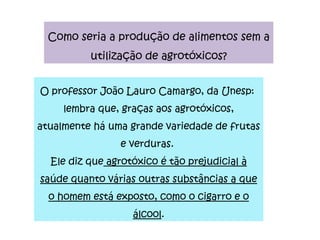 Como seria a produção de alimentos sem a utilização de agrotóxicos? O professor João Lauro Camargo, da Unesp:  lembra que, graças aos agrotóxicos, atualmente há uma grande variedade de frutas e verduras.  Ele diz que  agrotóxico é tão prejudicial à saúde quanto várias outras substâncias a que o homem está exposto, como o cigarro e o álcool . 