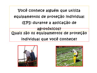 Você conhece alguém que utiliza equipamentos de proteção individual (EPI) durante a aplicação de agrotóxicos? Quais são os equipamentos de proteção individual que você conhece? 
