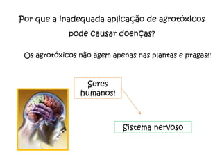 Por que a inadequada aplicação de agrotóxicos pode causar doenças? Os agrotóxicos não agem apenas nas plantas e pragas!! Seres humanos! Sistema nervoso 