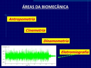 ÁREAS DA BIOMECÂNICA 
Antropometria 
Cinemetria 
Dinamometria 
Eletromiografia  