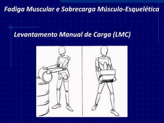 Fadiga Muscular e Sobrecarga Músculo-Esquelética 
Levantamento Manual de Carga (LMC)  