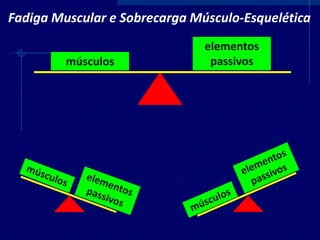 Fadiga Muscular e Sobrecarga Músculo-Esquelética 
músculos 
elementos passivos  
