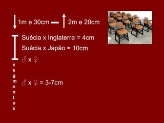1m e 30cm 
2m e 20cm 
♂ x ♀ = 3-7cm 
segmentos 
Suécia x Inglaterra = 4cm 
Suécia x Japão ♂ x ♀ 
= 10cm  