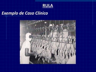 RULA 
Exemplo de Caso Clínico  