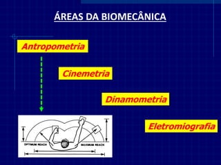 ÁREAS DA BIOMECÂNICA 
Antropometria 
Cinemetria 
Dinamometria 
Eletromiografia  
