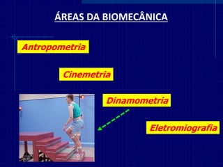 ÁREAS DA BIOMECÂNICA 
Antropometria 
Cinemetria 
Dinamometria 
Eletromiografia  