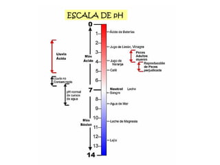 ESCALA DE pH 