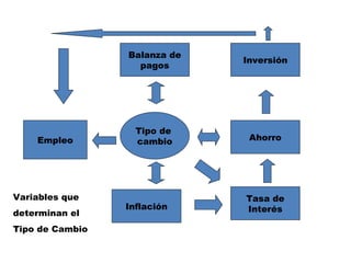 Empleo Balanza de pagos Inflación Tipo de  cambio Inversión Ahorro Tasa de Interés Variables que  determinan el Tipo de Cambio 