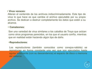  Virus voraces:
 Alteran el contenido de los archivos indiscriminadamente. Este tipo de
 virus lo que hace es que cambia el archivo ejecutable por su propio
 archivo. Se dedican a destruir completamente los datos que estén a su
 alcance.
 Camaleones:
 Son una variedad de virus similares a los caballos de Troya que actúan
 como otros programas parecidos, en los que el usuario confía, mientras
 que en realidad están haciendo algún tipo de daño.

 Reproductores:

 Los reproductores (también conocidos como conejos-rabbits) se
 reproducen en forma constante una vez que son ejecutados hasta
 agotar totalmente (con su descendencia) el espacio de disco o memoria
 del sistema.


                                                                          16
 