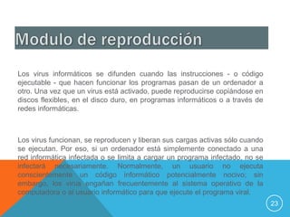 Los virus informáticos se difunden cuando las instrucciones - o código
ejecutable - que hacen funcionar los programas pasan de un ordenador a
otro. Una vez que un virus está activado, puede reproducirse copiándose en
discos flexibles, en el disco duro, en programas informáticos o a través de
redes informáticas.



Los virus funcionan, se reproducen y liberan sus cargas activas sólo cuando
se ejecutan. Por eso, si un ordenador está simplemente conectado a una
red informática infectada o se limita a cargar un programa infectado, no se
infectará necesariamente. Normalmente, un usuario no ejecuta
conscientemente un código informático potencialmente nocivo; sin
embargo, los virus engañan frecuentemente al sistema operativo de la
computadora o al usuario informático para que ejecute el programa viral.
                                                                              23
 