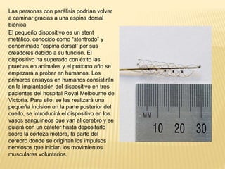 Las personas con parálisis podrían volver
a caminar gracias a una espina dorsal
biónica
El pequeño dispositivo es un stent
metálico, conocido como “stentrodo” y
denominado “espina dorsal” por sus
creadores debido a su función. El
dispositivo ha superado con éxito las
pruebas en animales y el próximo año se
empezará a probar en humanos. Los
primeros ensayos en humanos consistirán
en la implantación del dispositivo en tres
pacientes del hospital Royal Melbourne de
Victoria. Para ello, se les realizará una
pequeña incisión en la parte posterior del
cuello, se introducirá el dispositivo en los
vasos sanguíneos que van al cerebro y se
guiará con un catéter hasta depositarlo
sobre la corteza motora, la parte del
cerebro donde se originan los impulsos
nerviosos que inician los movimientos
musculares voluntarios.
 