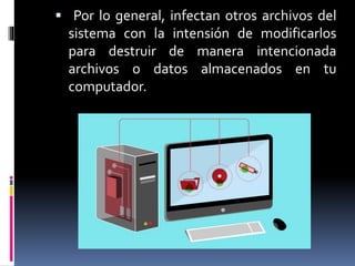  Por lo general, infectan otros archivos del 
sistema con la intensión de modificarlos 
para destruir de manera intencionada 
archivos o datos almacenados en tu 
computador. 
 