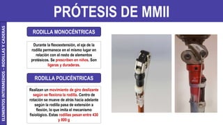 PRÓTESIS DE MMII
ELEMENTOS
INTERMEDIOS
–
RODILLAS
Y
CADERAS
RODILLA MONOCÉNTRICAS
RODILLA POLICÉNTRICAS
Durante la flexoextensión, el eje de la
rodilla permanece en el mismo lugar en
relación con el resto de elementos
protésicos. Se prescriben en niños. Son
ligeras y duraderas.
Realizan un movimiento de giro deslizante
según se flexiona la rodilla. Centro de
rotación se mueve de atrás hacia adelante
según la rodilla pasa de extensión a
flexión, lo que imita el mecanismo
fisiológico. Estas rodillas pesan entre 430
y 800 g
 