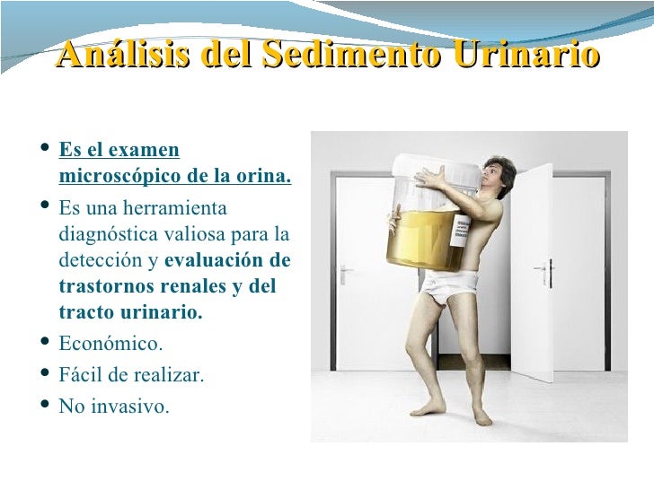 Sedimento urinario