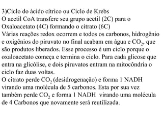 3)Ciclo do ácido cítrico ou Ciclo de Krebs
O acetil CoA transfere seu grupo acetil (2C) para o
Oxaloacetato (4C) formando o citrato (6C)
Várias reações redox ocorrem e todos os carbonos, hidrogênio
e oxigênios do piruvato no final acabam em água e CO2, que
são produtos liberados. Esse processo é um ciclo porque o
oxaloacetato começa e termina o ciclo. Para cada glicose que
entra na glicólise, e dois piruvatos entram na mitocôndria o
ciclo faz duas voltas.
O citrato perde CO2 (desidrogenação) e forma 1 NADH
virando uma molécula de 5 carbonos. Esta por sua vez
também perde CO2 e forma 1 NADH virando uma molécula
de 4 Carbonos que novamente será reutilizada.
 