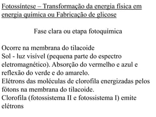 Fotossíntese – Transformação da energia física em
energia química ou Fabricação de glicose
Fase clara ou etapa fotoquímica
Ocorre na membrana do tilacoide
Sol - luz visível (pequena parte do espectro
eletromagnético). Absorção do vermelho e azul e
reflexão do verde e do amarelo.
Elétrons das moléculas de clorofila energizadas pelos
fótons na membrana do tilacoide.
Clorofila (fotossistema II e fotossistema I) emite
elétrons
 
