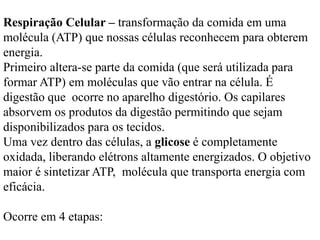 Respiração Celular – transformação da comida em uma
molécula (ATP) que nossas células reconhecem para obterem
energia.
Primeiro altera-se parte da comida (que será utilizada para
formar ATP) em moléculas que vão entrar na célula. É
digestão que ocorre no aparelho digestório. Os capilares
absorvem os produtos da digestão permitindo que sejam
disponibilizados para os tecidos.
Uma vez dentro das células, a glicose é completamente
oxidada, liberando elétrons altamente energizados. O objetivo
maior é sintetizar ATP, molécula que transporta energia com
eficácia.
Ocorre em 4 etapas:
 