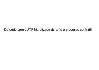 De onde vem o ATP hidrolizado durante o processo contrátil
 