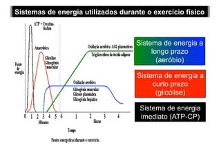 Sistemas de energia utilizados durante o exercício físico
Sistema de energia a
longo prazo
(aeróbio)
Sistema de energia a
curto prazo
(glicólise)
Sistema de energia
imediato (ATP-CP)
 
