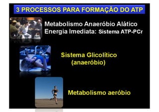 3 PROCESSOS PARA FORMAÇÃO DO ATP
 