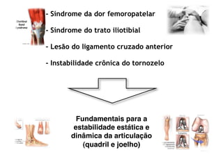 - Síndrome da dor femoropatelar
- Síndrome do trato iliotibial
- Lesão do ligamento cruzado anterior
- Instabilidade crônica do tornozelo
Fundamentais para a
estabilidade estática e
dinâmica da articulação
(quadril e joelho)
 