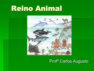 Reino Animal
Profº Carlos Augusto
 