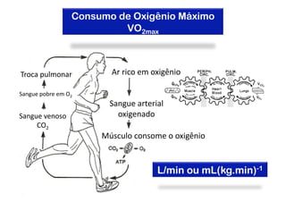 Consumo de Oxigênio Máximo
                           VO2max



Troca pulmonar           Ar rico em oxigênio 

Sangue pobre em O2 
                         Sangue arterial 
Sangue venoso              oxigenado 
     CO2 
                       Músculo consome o oxigênio 


                                      L/min ou mL(kg.min)-1
 