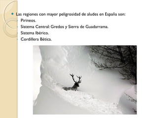 Las regiones con mayor peligrosidad de aludes en España son:
◦ Pirineos.
◦ Sistema Central: Gredos y Sierra de Guadarrama.
◦ Sistema Ibérico.
◦ Cordillera Bética.
 