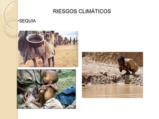 •SEQUIA
RIESGOS CLIMÁTICOS
 