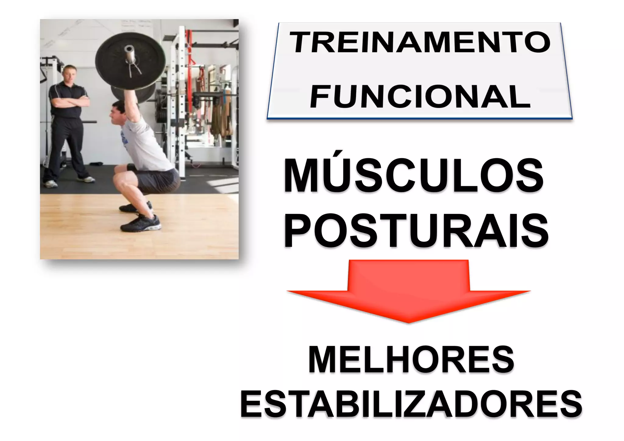 MÚSCULOS
POSTURAIS
MELHORES
ESTABILIZADORES
 