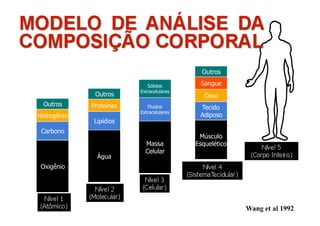 Outros

                            Sólidos        Sangue
                         Extracelulares
              Outros                         Osso
 Outros      Proteínas      Fluidos        Tecido
                         Extracelulares
Hidrogênio                                 Adiposo
             Lipídios
 Carbono
                                           Músculo
                           Massa          Esquelético
                           Celular
               Água
 Oxigênio




                                                        Wang et al 1992
 