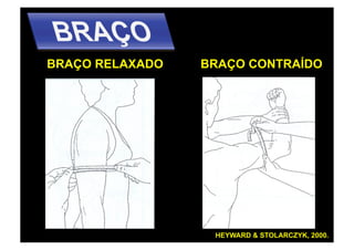 BRAÇO RELAXADO   BRAÇO CONTRAÍDO




                  HEYWARD & STOLARCZYK, 2000.
 