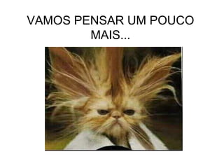 VAMOS PENSAR UM POUCO MAIS... 
