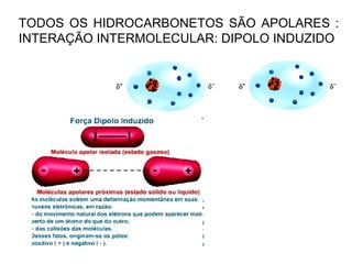 TODOS OS HIDROCARBONETOS SÃO APOLARES : INTERAÇÃO INTERMOLECULAR: DIPOLO INDUZIDO 