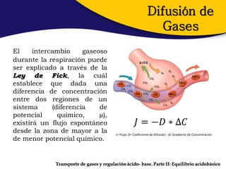 Difusión de
                                                                   Gases
El     intercambio     gaseoso
durante la respiración puede
ser explicado a través de la
Ley de Fick, la cuál
establece que dada una
diferencia de concentración
entre dos regiones de un
sistema      (diferencia    de
potencial      químico,     µ),
existirá un flujo espontáneo                            𝐽 = −𝐷 ∗ ∆𝐶
desde la zona de mayor a la               J= Flujo; D= Coeficiente de Difusión; C Gradiente de Concentración
de menor potencial químico.


              Transporte de gases y regulación ácido- base. Parte II: Equilibrio acidobásico
 