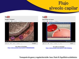 Flujo
                                                          alveolo capilar




             Ver video en YouTube:                               Ver video en YouTube:
http://www.youtube.com/watch?v=WXOBJEXxNEo           http://www.youtube.com/watch?v=dW1763QoIng




                  Transporte de gases y regulación ácido- base. Parte II: Equilibrio acidobásico
 