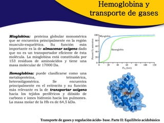 Hemoglobina y
                                                  transporte de gases


Mioglobina: proteína globular monomérica
que se encuentra principalmente en la región
musculo-esquelética.   Su    función    más
importante es la de almacenar oxígeno dado
que no es un transportador eficiente de ésta
molécula. La mioglobina está constituida por
153 residuos de aminoácidos y tiene una
masa molecular de 17000 Da.

Hemoglobina: puede clasificarse como una
metaloproteína,                  tetramérica,
heterooligomérica.       Se        encuentra
principalmente en el eritrocito y su función
más relevante es la de transportar oxígeno
hacia los tejidos periféricos y dióxido de
carbono e iones hidronio hacia los pulmones.
La masa molar de la Hb es de 64,5 kDa.




                  Transporte de gases y regulación ácido- base. Parte II: Equilibrio acidobásico
 