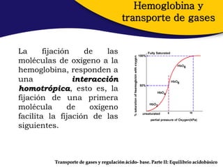 Hemoglobina y
                                          transporte de gases


La      fijación    de     las
moléculas de oxígeno a la
hemoglobina, responden a
una              interacción
homotrópica, esto es, la
fijación de una primera
molécula       de     oxígeno
facilita la fijación de las
siguientes.



          Transporte de gases y regulación ácido- base. Parte II: Equilibrio acidobásico
 