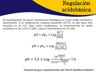Regulación
                                                           acidobásica
El amortiguador de mayor importancia fisiológica es el par ácido carbónico/
bicarbonato. A la temperatura corporal promedio (37°C), la pKa para ésta
reacción es de 3,5. Bajo estas condiciones, la concentración de ácido
carbónico es de 3,0 E-3 mM, y para el bicarbonato de 24 mM.
                                              A−
                            pH = pK a + Log
                                                        HA

                                          HCO− 3
                          pH = pk a + Log
                                          H2 CO3

                                                    𝑚𝑚𝑜𝑙
                                                   24
                                                      𝐿
                  pH = 3.5 + Log                        𝑚𝑚𝑜𝑙      = 7,4
                                               3×10−3
                                                         𝐿

                 Transporte de gases y regulación ácido- base. Parte II: Equilibrio acidobásico
 