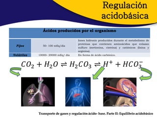 Regulación
                                                      acidobásica
               Ácidos producidos por el organismo

                                      Iones hidronio producidos durante el metabolismo de
                                      proteínas que contienen aminoácidos que enlazan
  Fijos        50- 100 mEq/día
                                      sulfuro (metionina, cisteína) y catiónicos (lisina y
                                      arginina).
Volátiles   10000- 20000 mEq/ día     En forma de ácido carbónico.

                                     −
      𝐶𝑂2 + 𝐻2 𝑂 ⇌ 𝐻2 𝐶𝑂3 ⇌ 𝐻 + + 𝐻𝐶𝑂3




            Transporte de gases y regulación ácido- base. Parte II: Equilibrio acidobásico
 