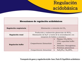 Regulación
                                                          acidobásica

               Mecanismos de regulación acidobásicos


Regulación respiratoria                    Eliminación o retención de CO2

                                  Producción y reabsorción glomerular de HCO3-
   Regulación renal            Eliminación de H3O+ a través de la neutralización con
                                         tampones de fosfato y amoniaco
                                                           Plasma: CO2/HCO3-
                                                              (75% capacidad buffer
                             Compartimento Extracelular       total)
  Regulación buffer
                                                           Hematíes: Hemoglobina.
                                                           Proteínas plasmáticas
                             Compartimento Intracelular    NaH2PO4/ Na2HPO4




                Transporte de gases y regulación ácido- base. Parte II: Equilibrio acidobásico
 