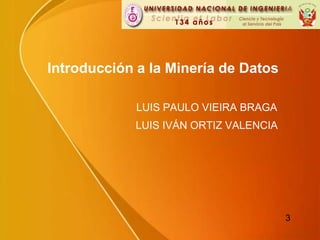Introducción a laMinería de Datos LUIS PAULO VIEIRA BRAGA LUIS IVÁN ORTIZ VALENCIA 3 