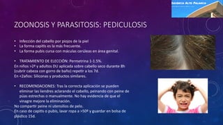ZOONOSIS Y PARASITOSIS: PEDICULOSIS
• Infección del cabello por piojos de la piel
• La forma capi4s es la más frecuente.
• La forma pubis cursa con máculas cerúleas en área genital.
• TRATAMIENTO DE ELECCIÓN: Permetrina 1-1.5%.
En niños >2ª y adultos DU aplicada sobre cabello seco durante 8h
(cubrir cabeza con gorro de baño) repe4r a los 7d.
En <2años: Siliconas y productos similares.
• RECOMENDACIONES: Tras la correcta aplicación se pueden
eliminar las liendres aclarando el cabello, peinando con peine de
púas estrechas o manualmente. No hay evidencia de que el
vinagre mejore la eliminación.
No compar4r peine ni utensilios de pelo.
En caso de capi4s o pubis, lavar ropa a >50º y guardar en bolsa de
plás4co 15d.
 