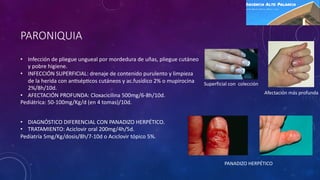 PARONIQUIA
• Infección de pliegue ungueal por mordedura de uñas, pliegue cutáneo
y pobre higiene.
• INFECCIÓN SUPERFICIAL: drenaje de contenido purulento y limpieza
de la herida con anIsépIcos cutáneos y ac.fusídico 2% o mupirocina
2%/8h/10d.
• AFECTACIÓN PROFUNDA: Cloxacicilina 500mg/6-8h/10d.
Pediátrica: 50-100mg/Kg/d (en 4 tomas)/10d.
Superficial con colección
Afectación más profunda
• DIAGNÓSTICO DIFERENCIAL CON PANADIZO HERPÉTICO.
• TRATAMIENTO: Aciclovir oral 200mg/4h/5d.
Pediatría 5mg/Kg/dosis/8h/7-10d o Aciclovir tópico 5%.
PANADIZO HERPÉTICO
 